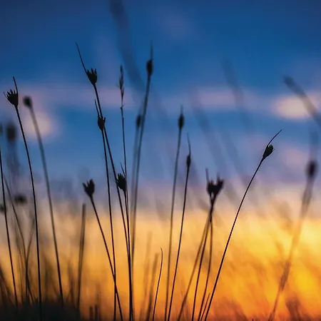 Casa de Férias Awesome In With Kitchen *