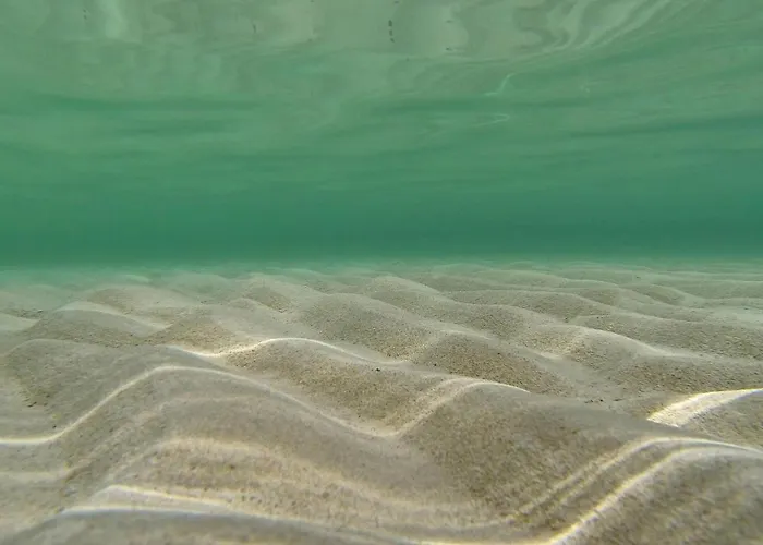 Сasa de vacaciones Awesome In With Kitchen Privlaka (Zadar)