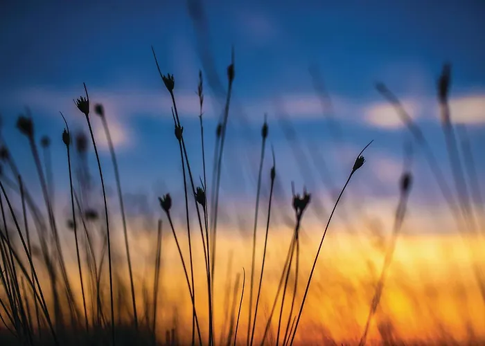 Nyaraló Awesome In With Kitchen *