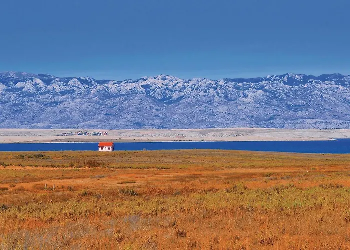 Awesome In With Kitchen